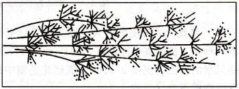 45钢（中碳钢）火花