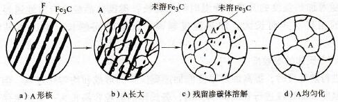 共析钢中奥氏体形成过程示意图